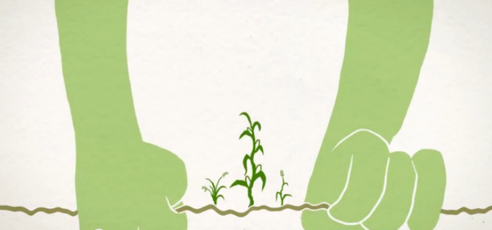 Video: The value of soil