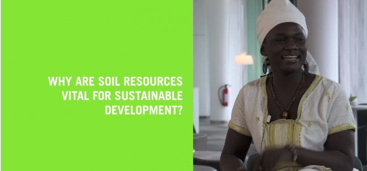 Video: 90 Seconds For Soils