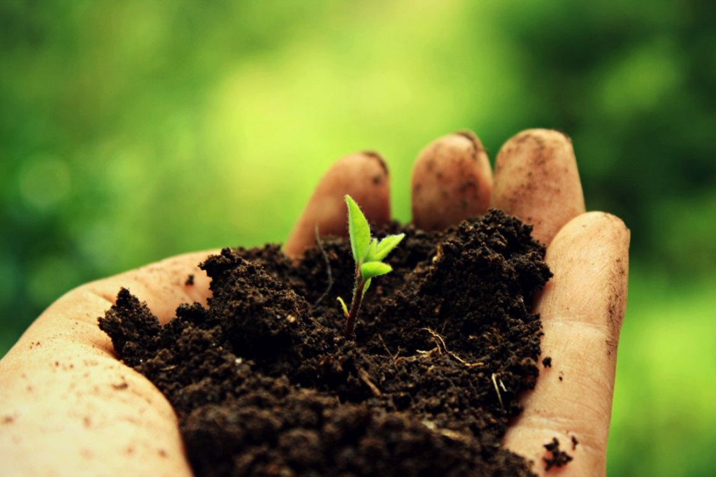 Soil and Land in Sustainable Development Agendas | Global Soil Week